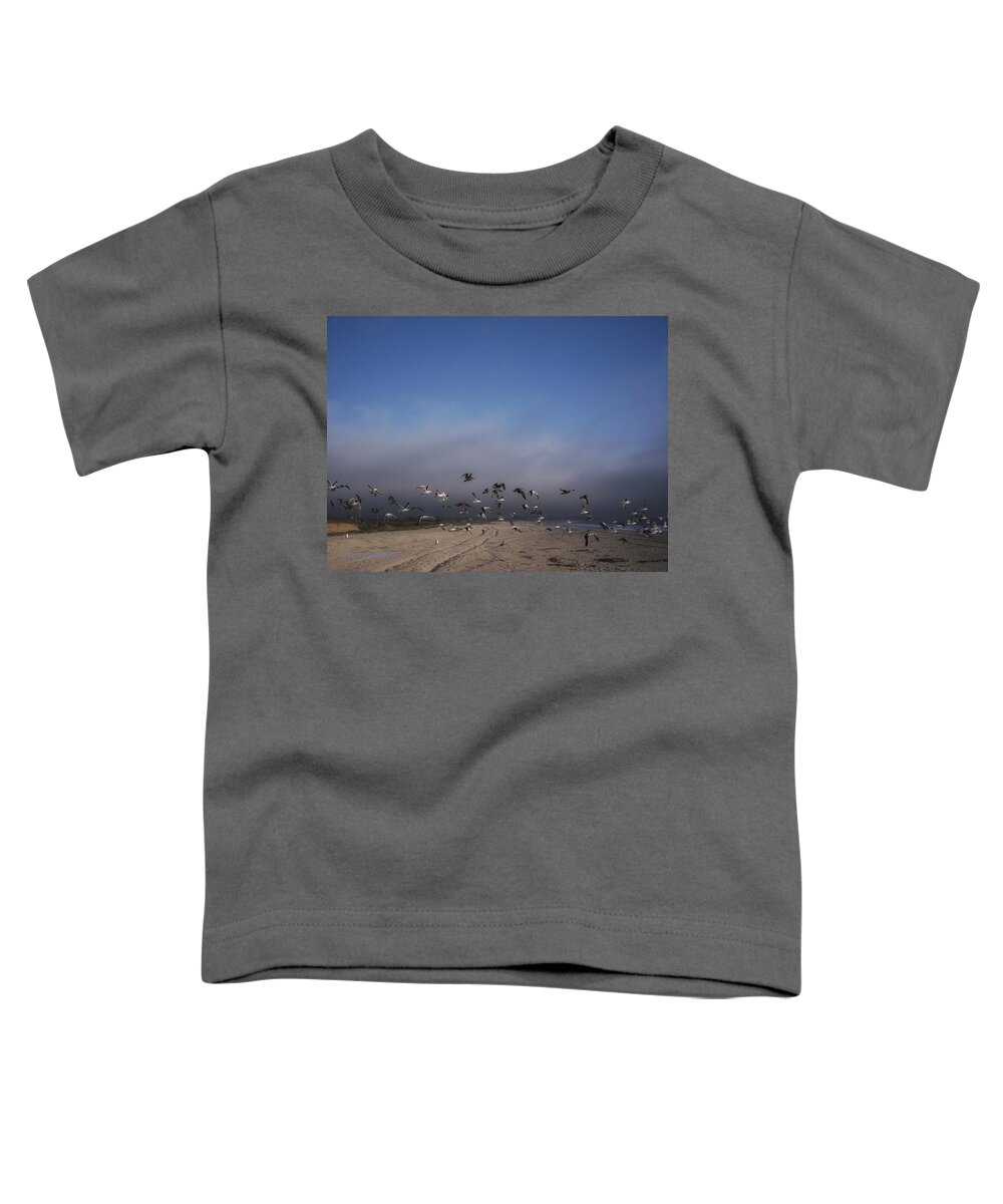 Seagulls Toddler T-Shirt featuring the photograph The Birds by Donna Blackhall