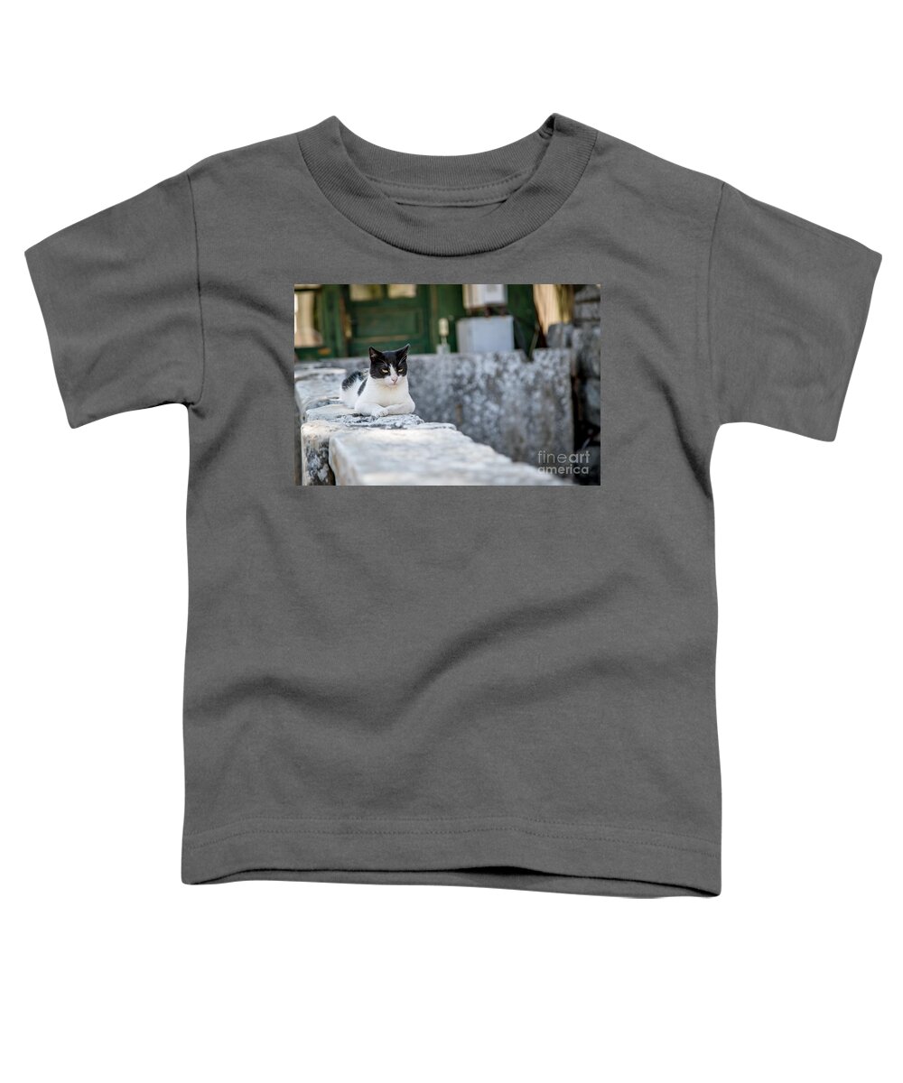 Cat Toddler T-Shirt featuring the photograph The Content Cat by Alanna DPhoto