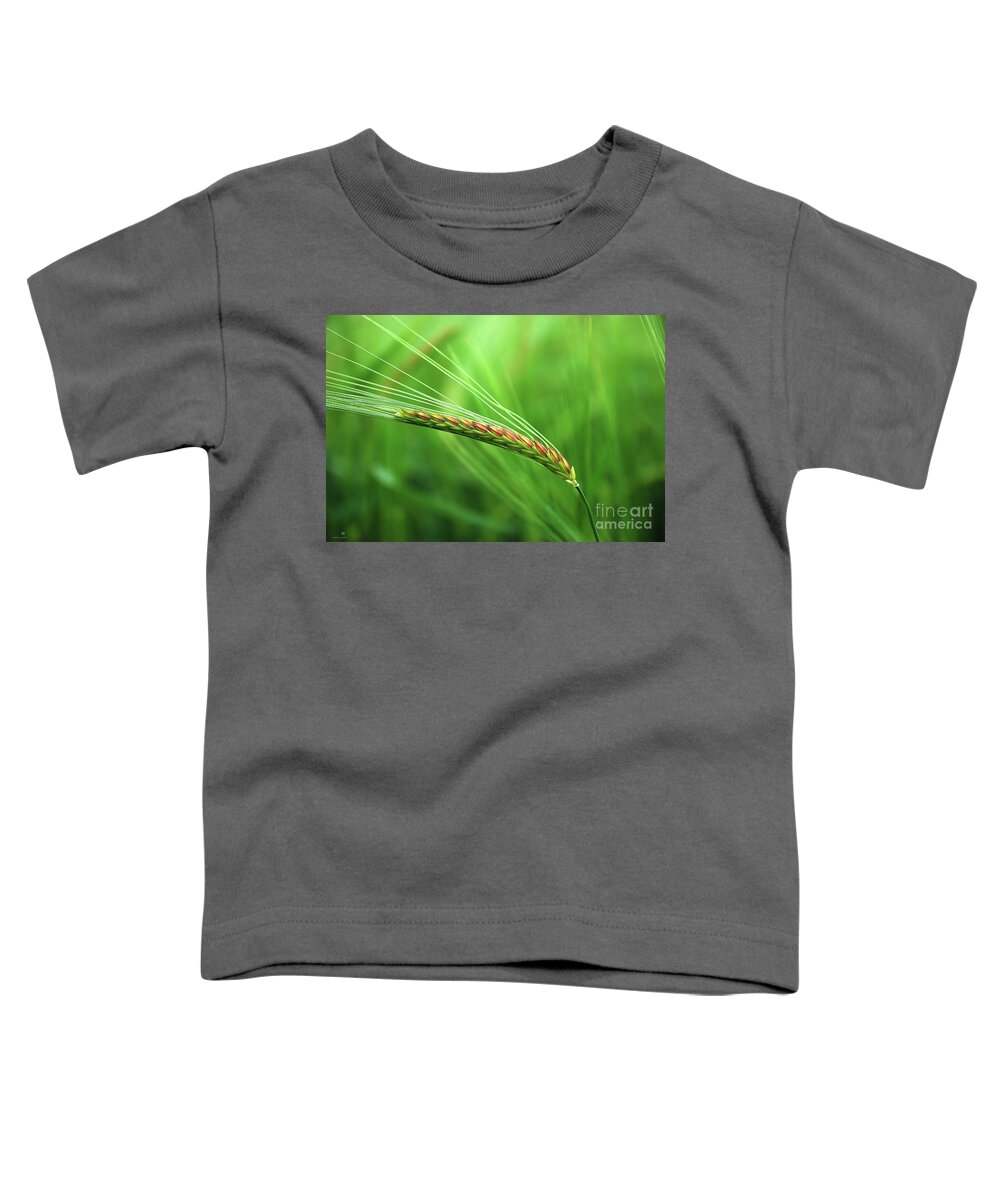 Corn Toddler T-Shirt featuring the photograph The Corn by Hannes Cmarits