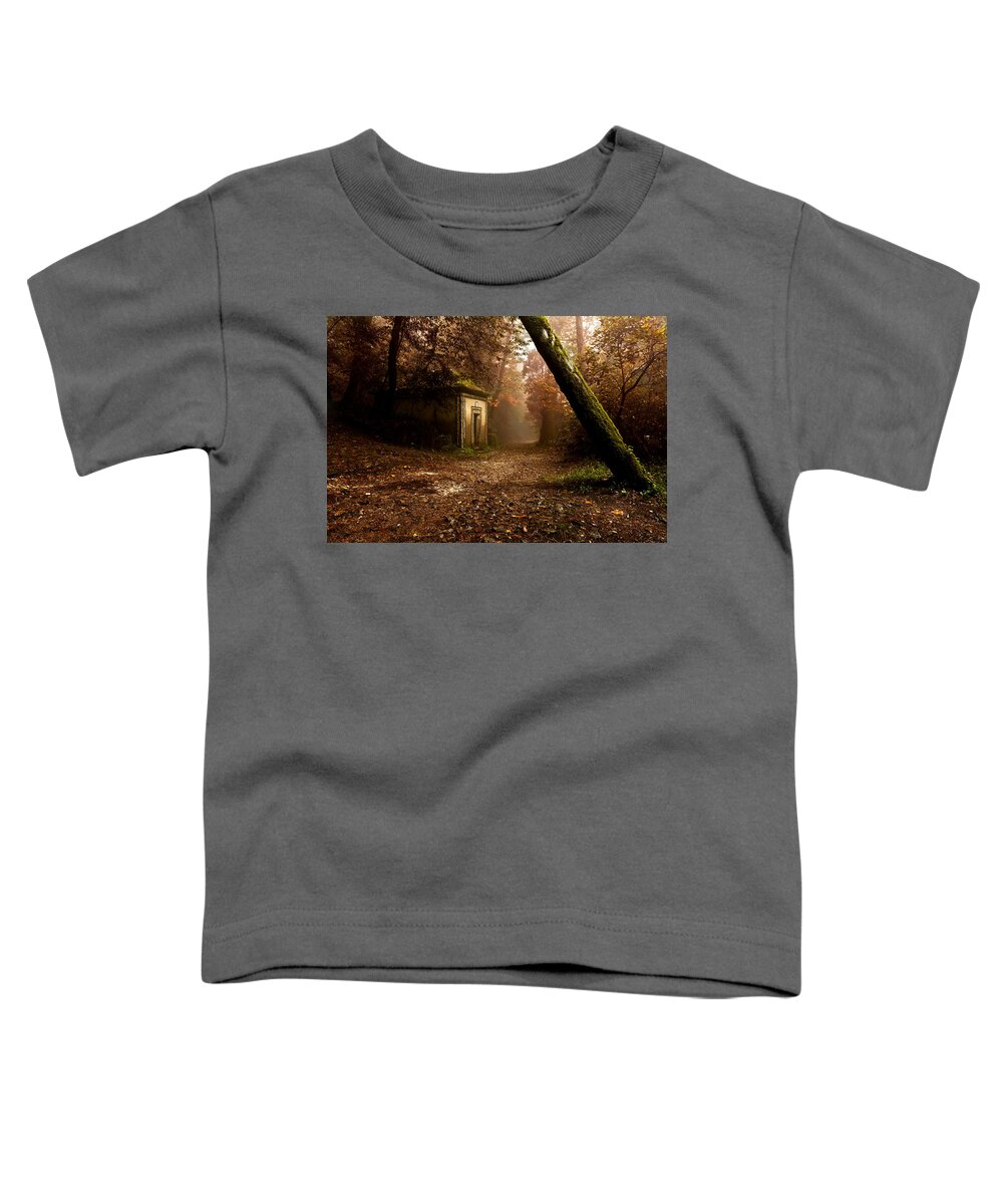 Mood Toddler T-Shirt featuring the photograph The enchanted trail by Jorge Maia