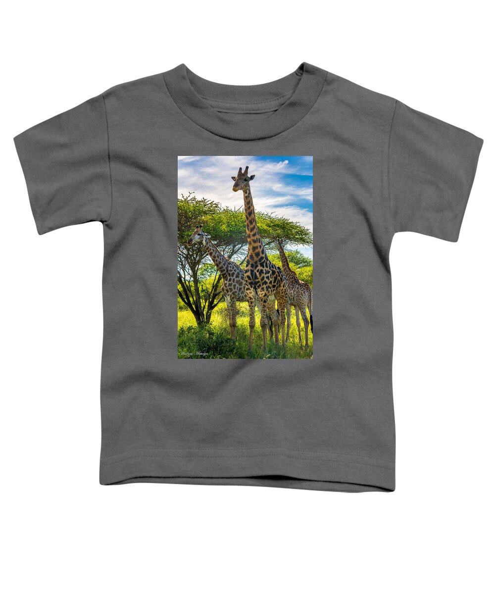 Giraffe Toddler T-Shirt featuring the photograph The Giraffe Family by Andrew Matwijec