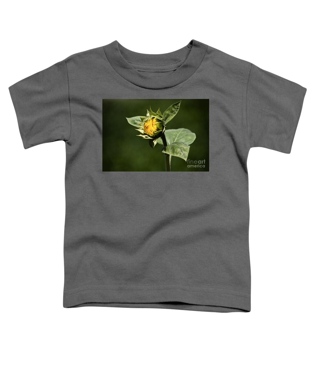 Bud Toddler T-Shirt featuring the photograph The heliotropic likes the sun ... by Gwyn Newcombe