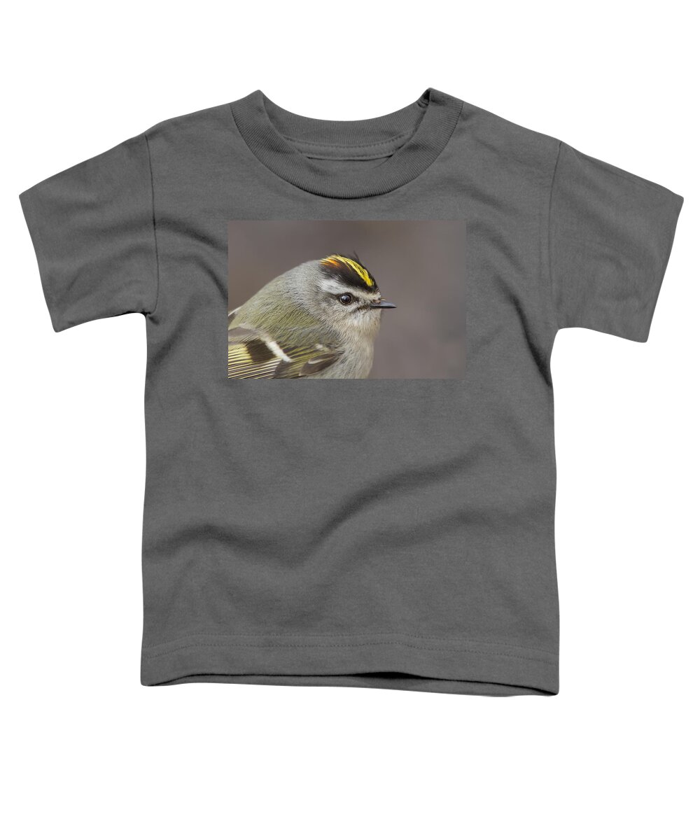 Golden-crowned-kinglet Toddler T-Shirt featuring the photograph The Little King Portrait by Mircea Costina Photography