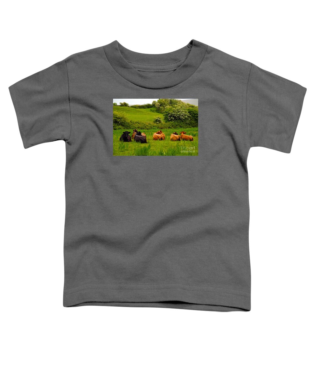 Cow Photography Toddler T-Shirt featuring the photograph The Lookout by Patricia Griffin Brett