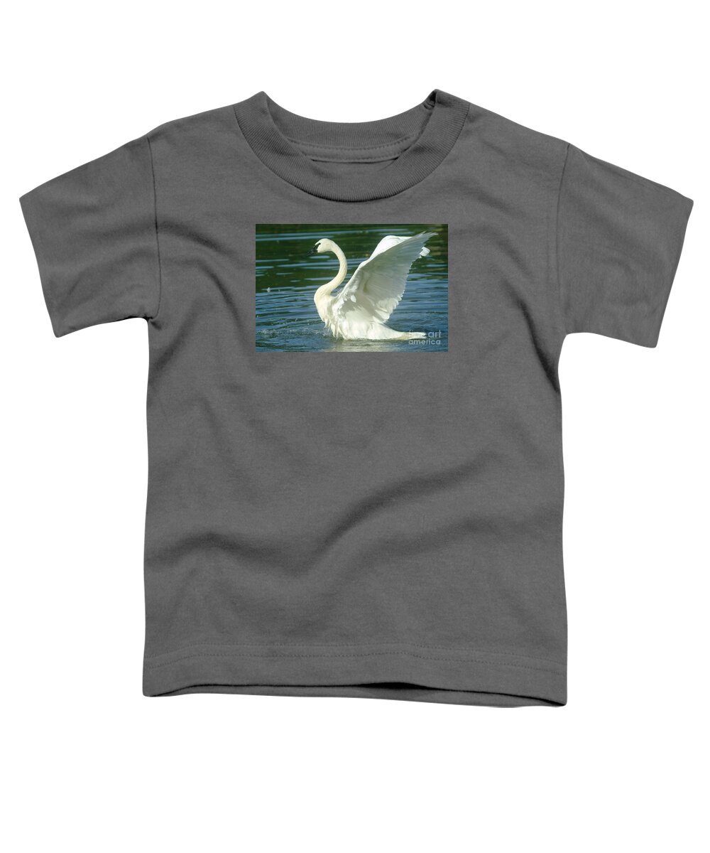 Swans Toddler T-Shirt featuring the photograph The Swan Rises by Jeff Swan