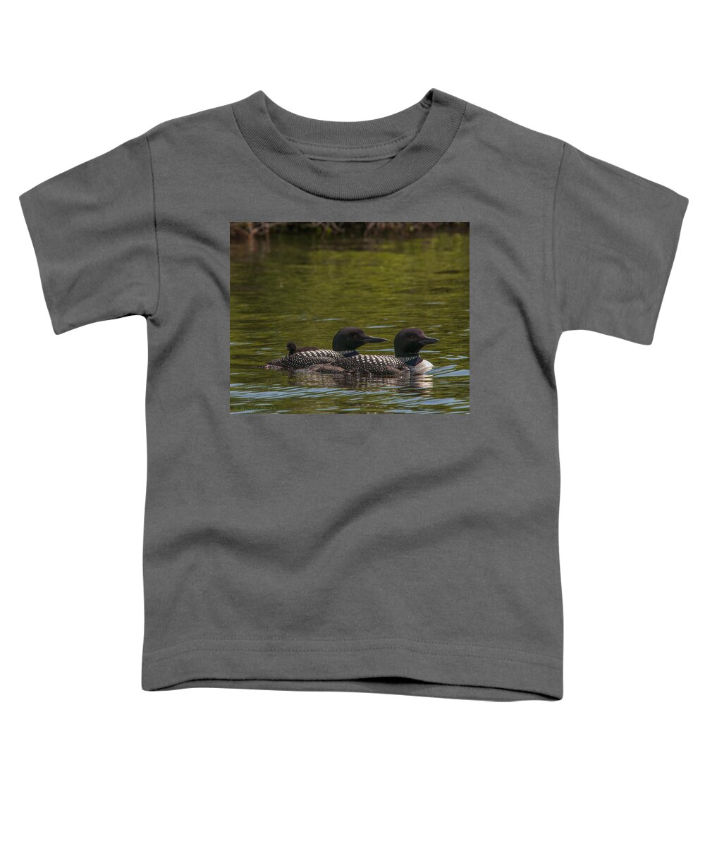 Common Loon Toddler T-Shirt featuring the photograph The Three of Us by Brenda Jacobs