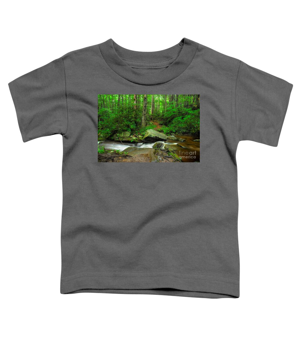 Smoky Mountain Stream Toddler T-Shirt featuring the photograph The Trail Continues by Michael Eingle