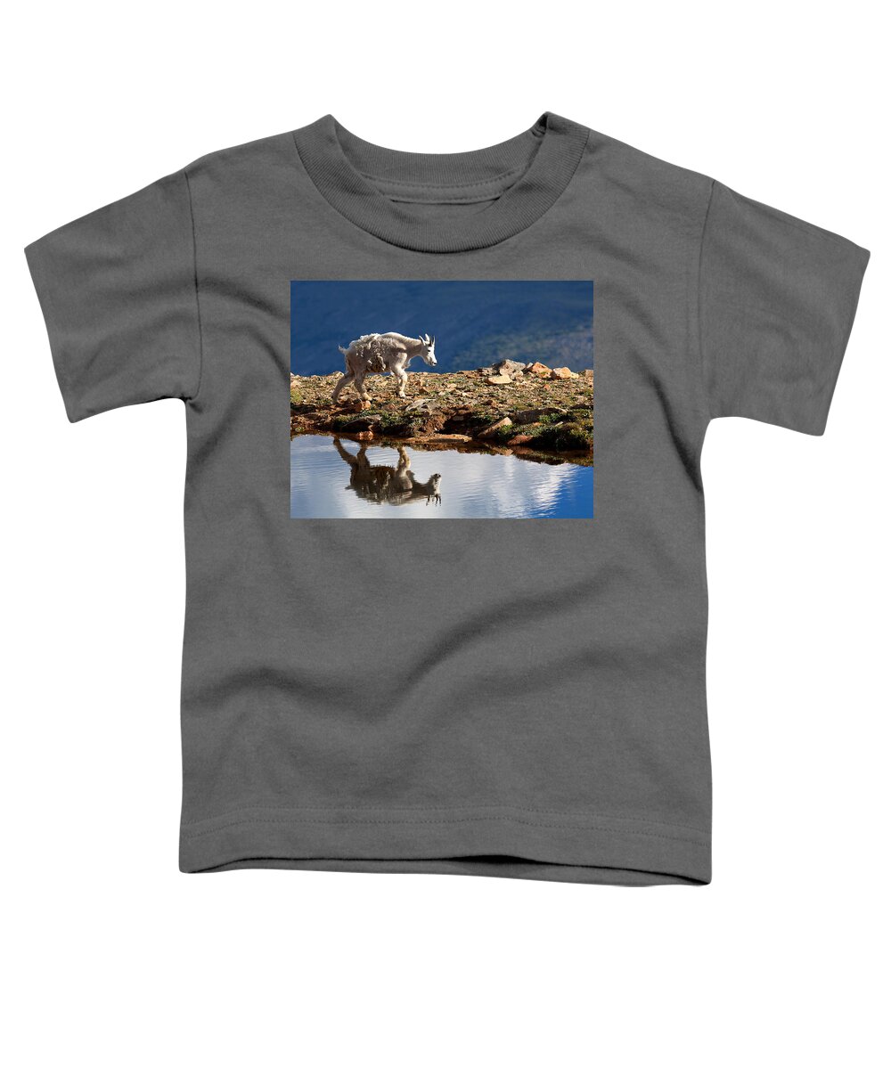 Mountain Goats Toddler T-Shirt featuring the photograph The Walk-About by Jim Garrison