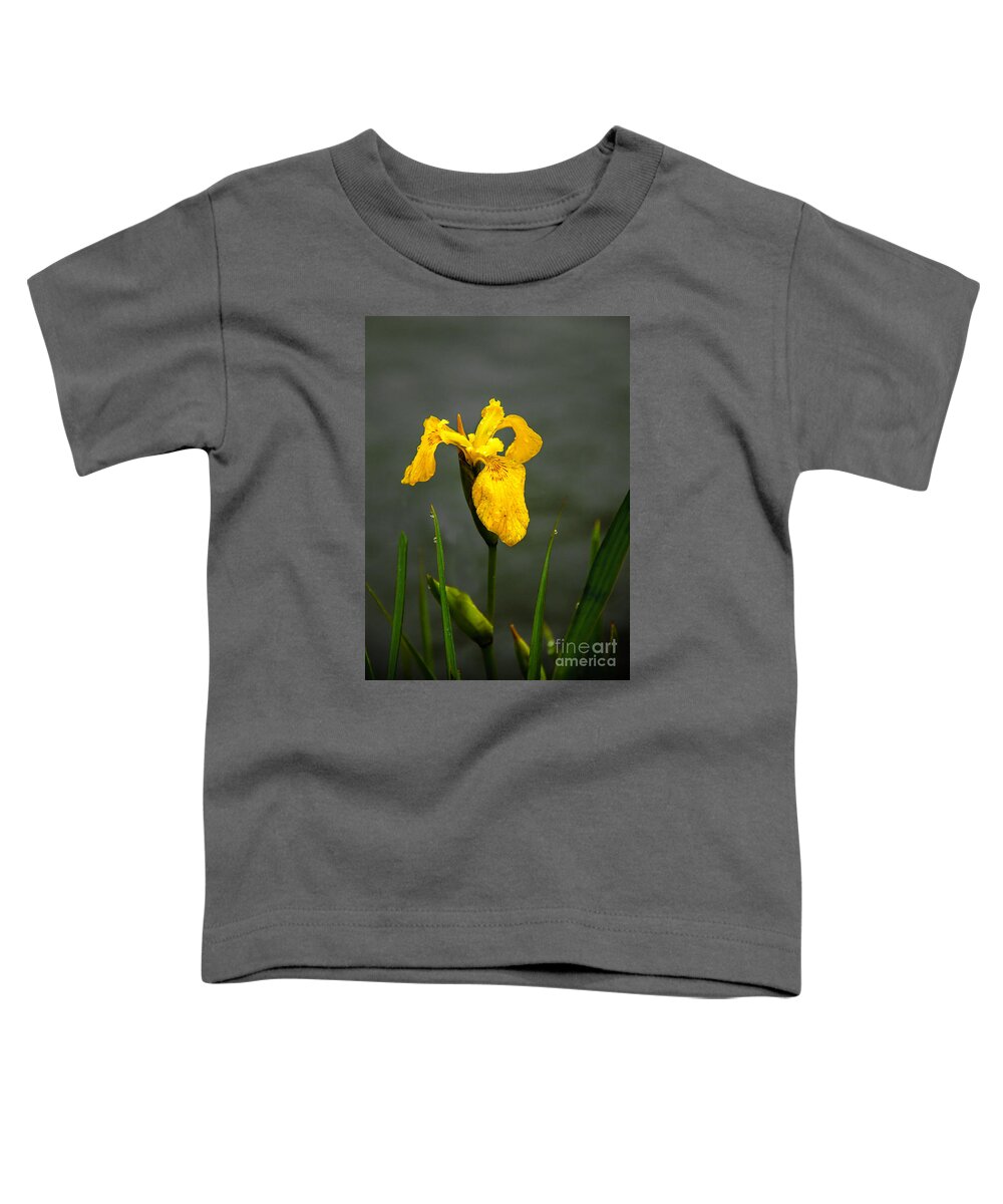 Iris Toddler T-Shirt featuring the photograph The Yellow One by Robert Bales