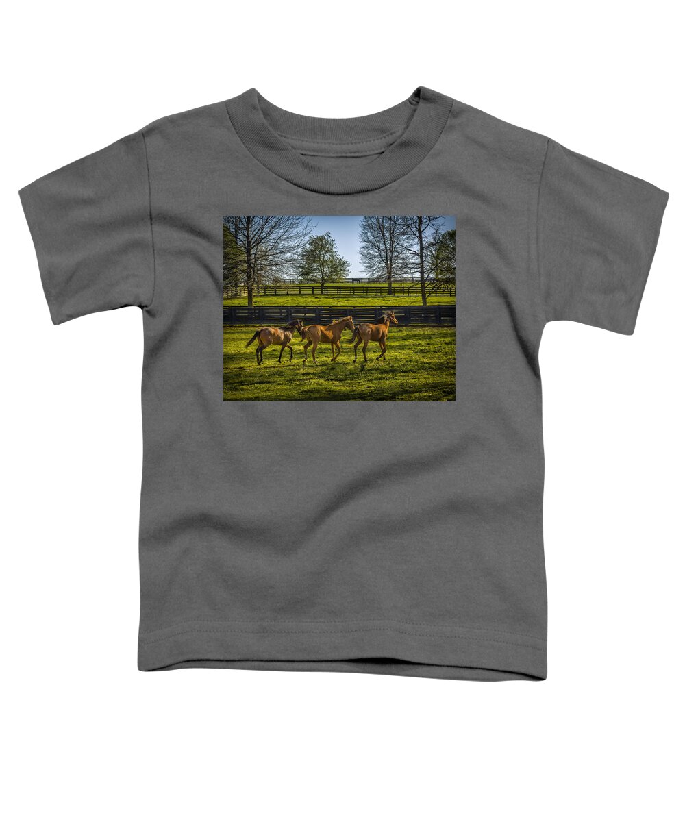 Animal Toddler T-Shirt featuring the photograph Three Amigos by Jack R Perry