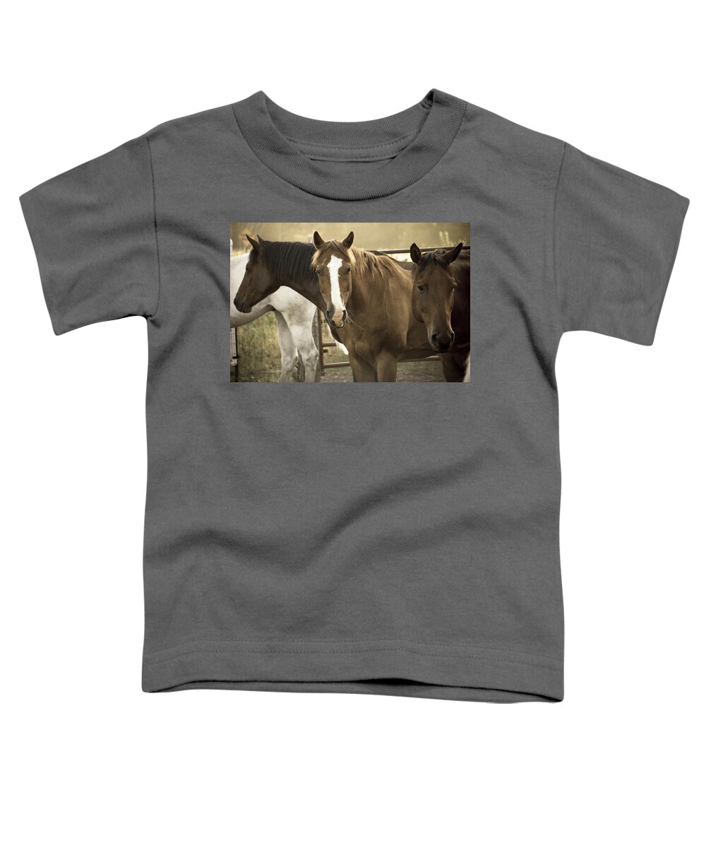 Made In America Toddler T-Shirt featuring the photograph Three Amigos by Steven Bateson