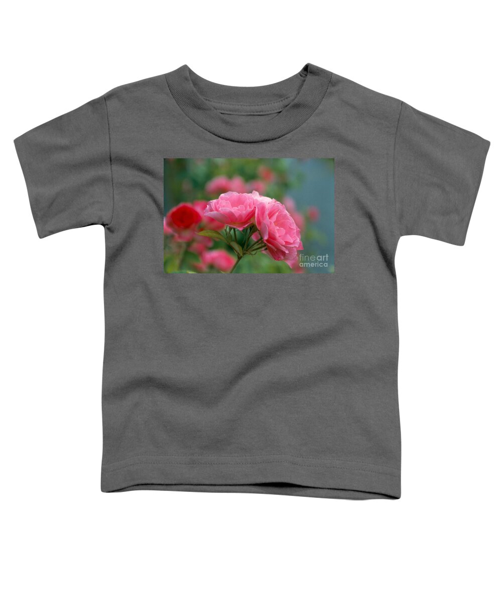 Rose Toddler T-Shirt featuring the photograph Three Headed Pink Rose by Heather Kirk