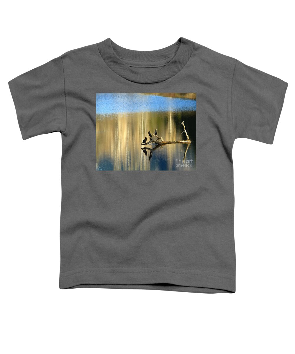 Cormorants Toddler T-Shirt featuring the photograph Different Perspectives by Michelle Twohig
