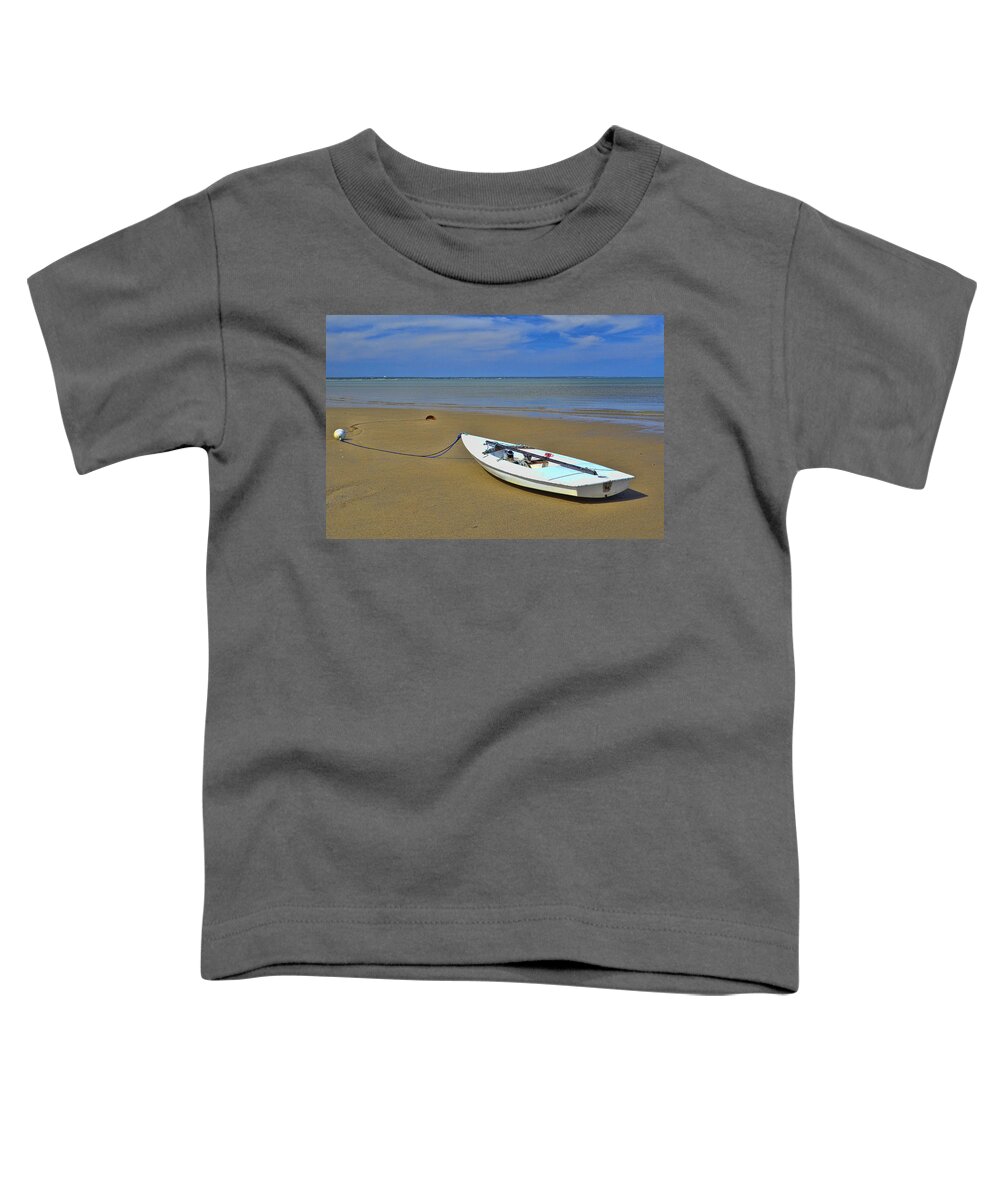 Thumpertown Beach Lowtide Toddler T-Shirt featuring the photograph Thumpertown Beach Lowtide 3 by Allen Beatty