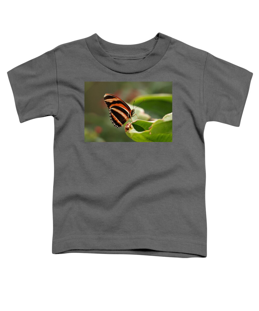 Butterfly Toddler T-Shirt featuring the photograph Tiger Striped Butterfly by Sandy Keeton