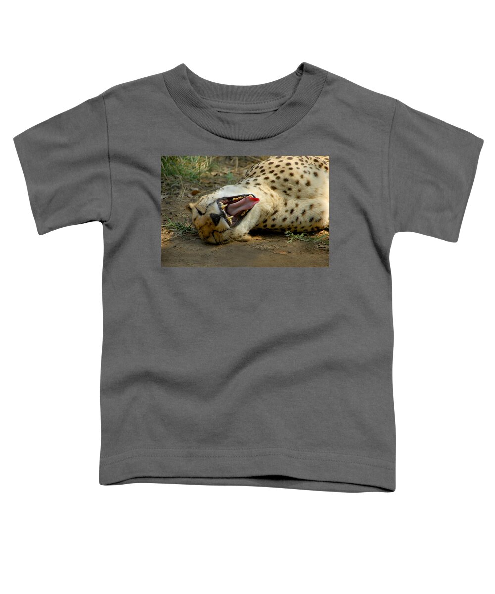 Cat Toddler T-Shirt featuring the photograph Too Funny by Donna Blackhall