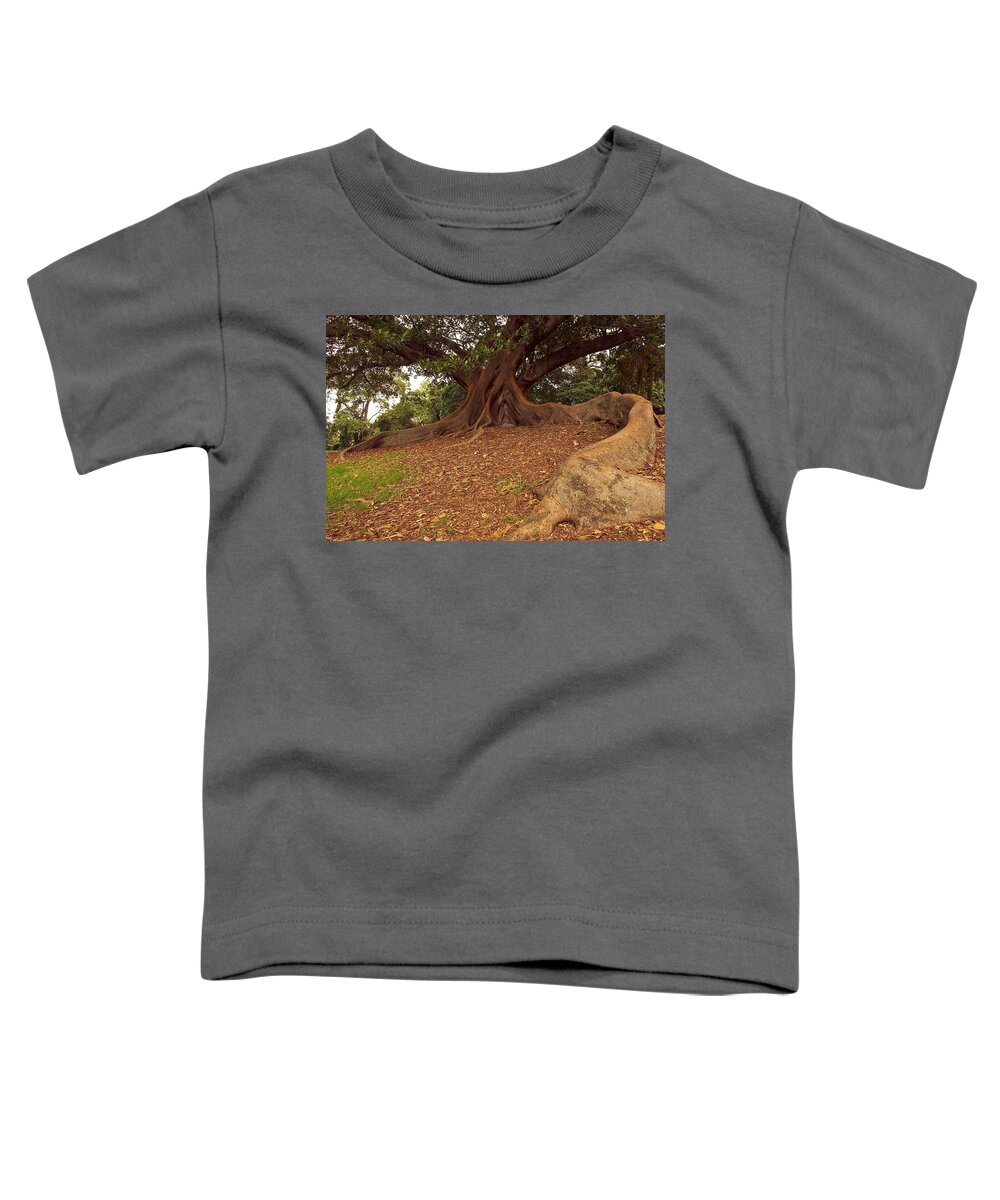 Australia Toddler T-Shirt featuring the photograph Tree at Royal Botanic Garden by Stuart Litoff