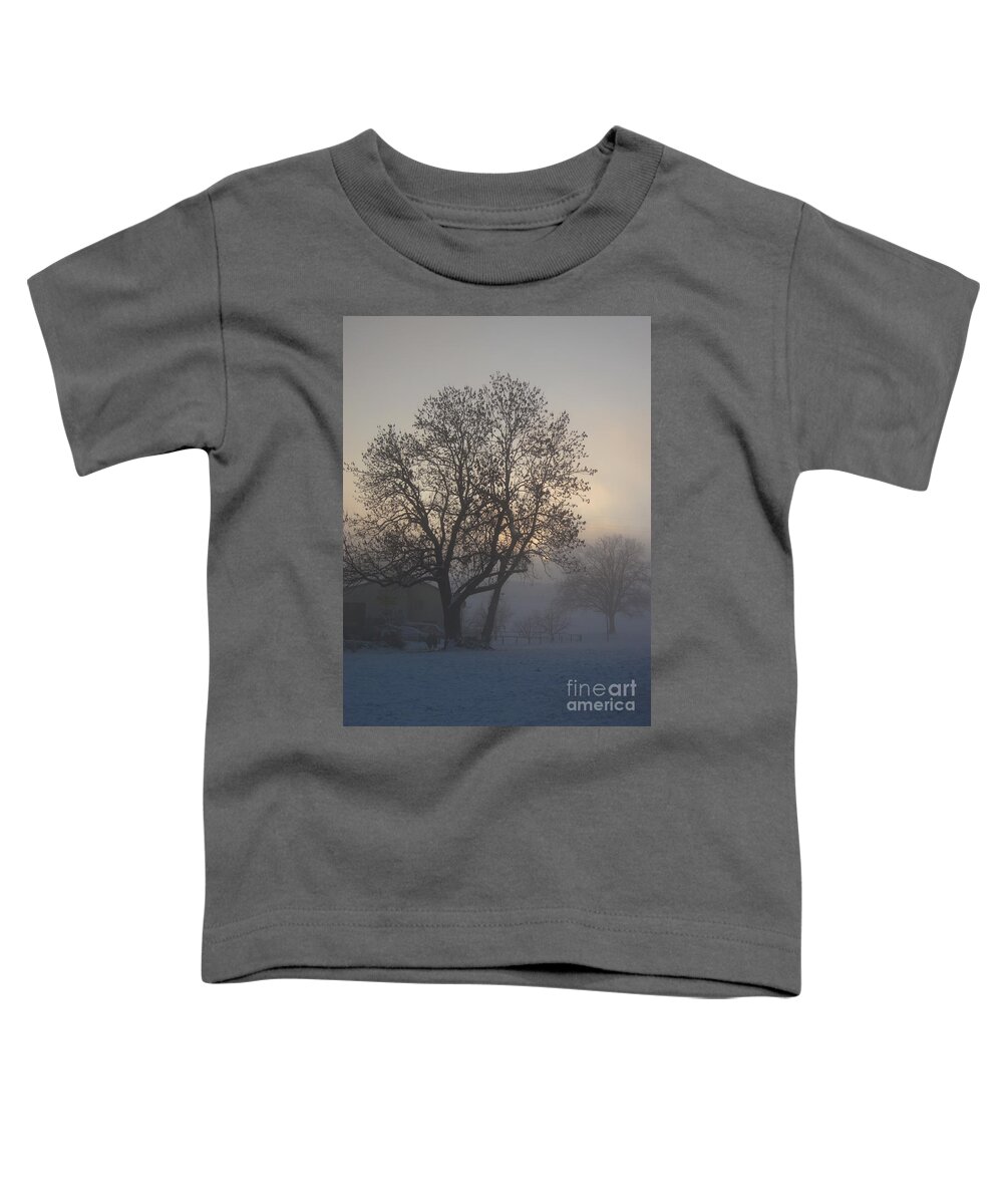 Tree Toddler T-Shirt featuring the photograph Tree in the foggy winter landscape by Amanda Mohler