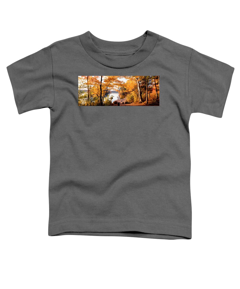 Photography Toddler T-Shirt featuring the photograph Trees At The Lakeside, Great Sacandaga by Panoramic Images