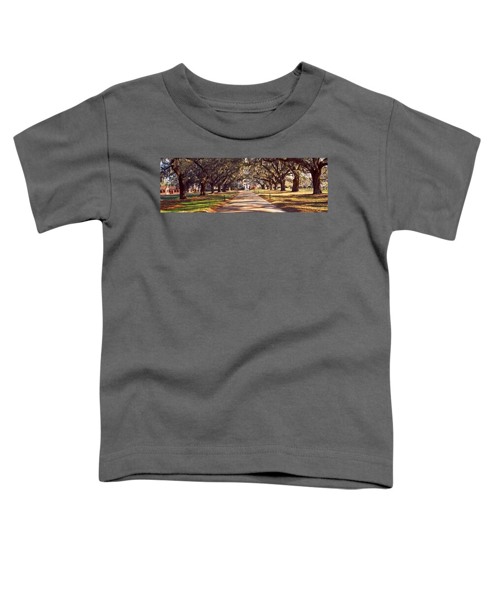 Photography Toddler T-Shirt featuring the photograph Trees Bots Sided Of A Dirt Road, Boone by Panoramic Images