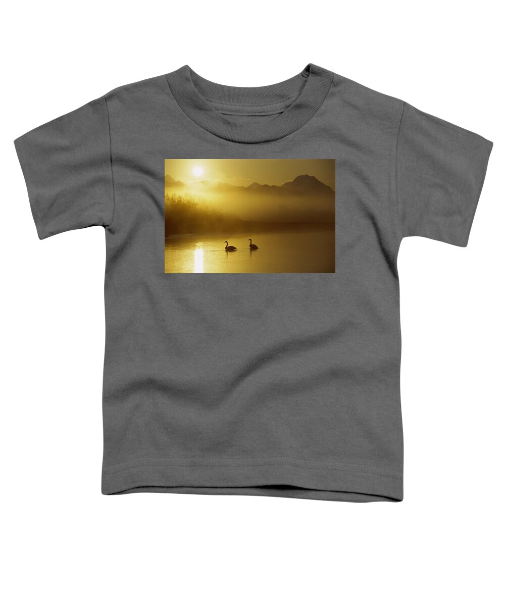 00161030 Toddler T-Shirt featuring the photograph Trumpeter Swan Pair at Sunset by Michael Quinton