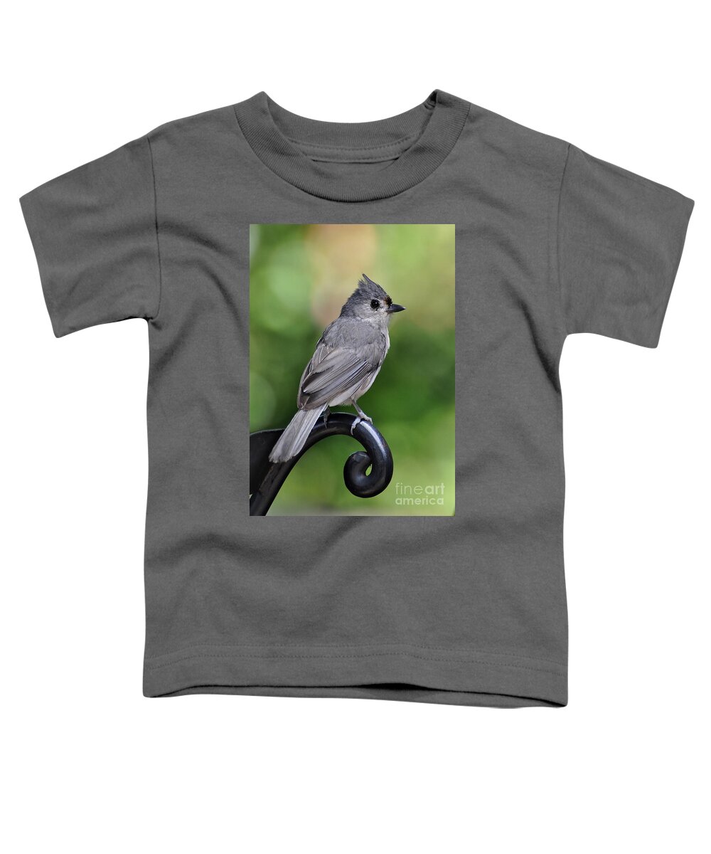 Birds Toddler T-Shirt featuring the photograph Tufted Titmouse by Kathy Baccari