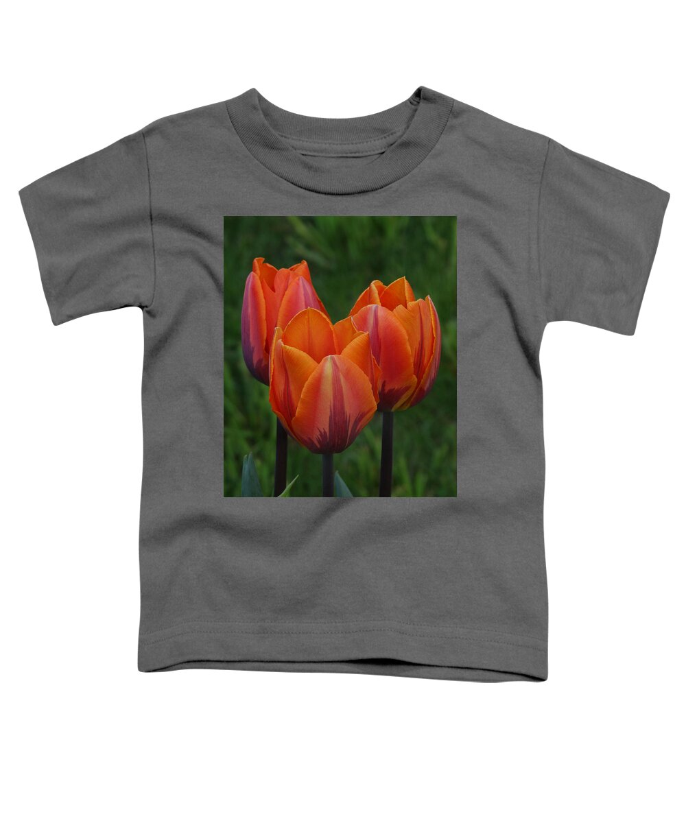 Tulips Toddler T-Shirt featuring the photograph Tulip Trio by David T Wilkinson