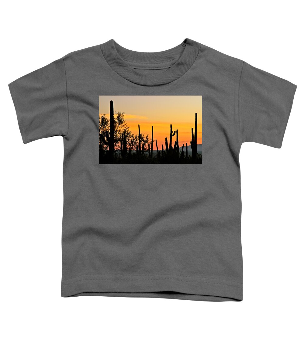 Saguaro National Park Toddler T-Shirt featuring the photograph Twilight After Sunset Sonoran Desert by Ed Riche