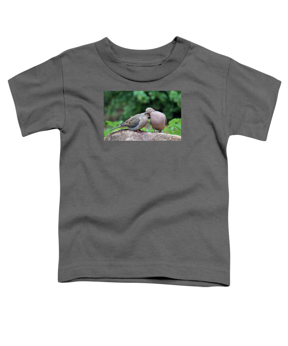 Birds Toddler T-Shirt featuring the photograph Two Turtle Doves by Cynthia Guinn