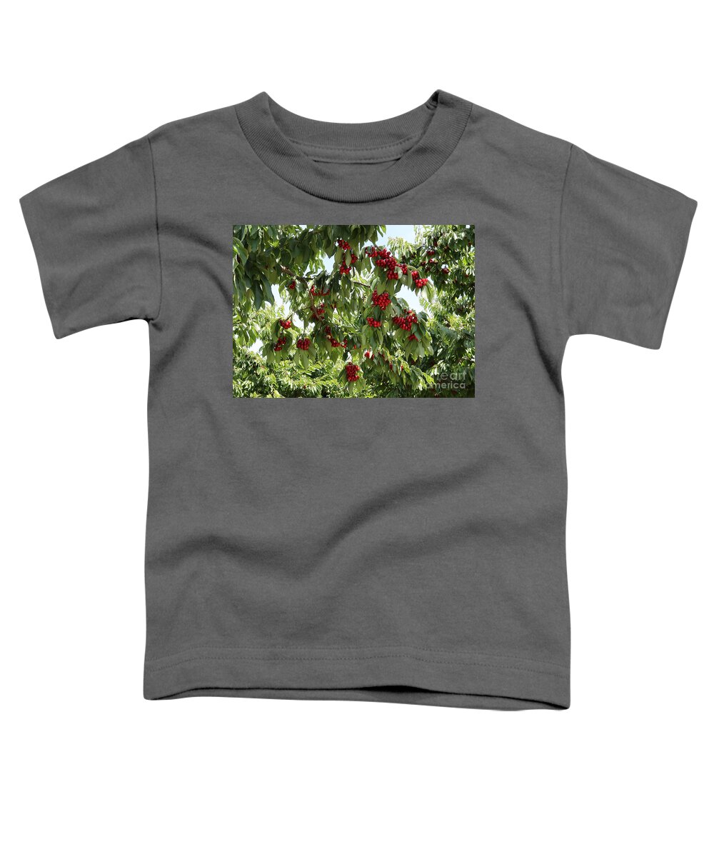 Cherry Toddler T-Shirt featuring the photograph Under the Cherry Tree by Carol Groenen