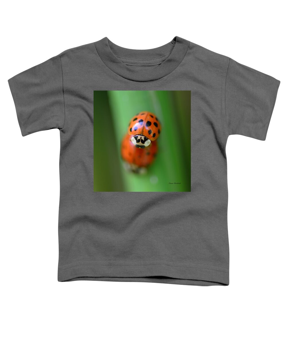 Ladybug Toddler T-Shirt featuring the photograph Unladylike by Donna Blackhall