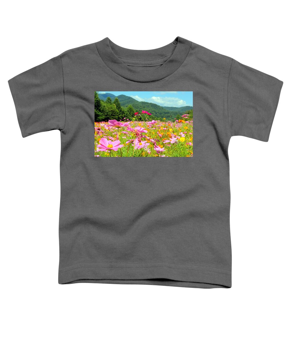 Scenic Toddler T-Shirt featuring the photograph Valley of Color by Jennifer Robin