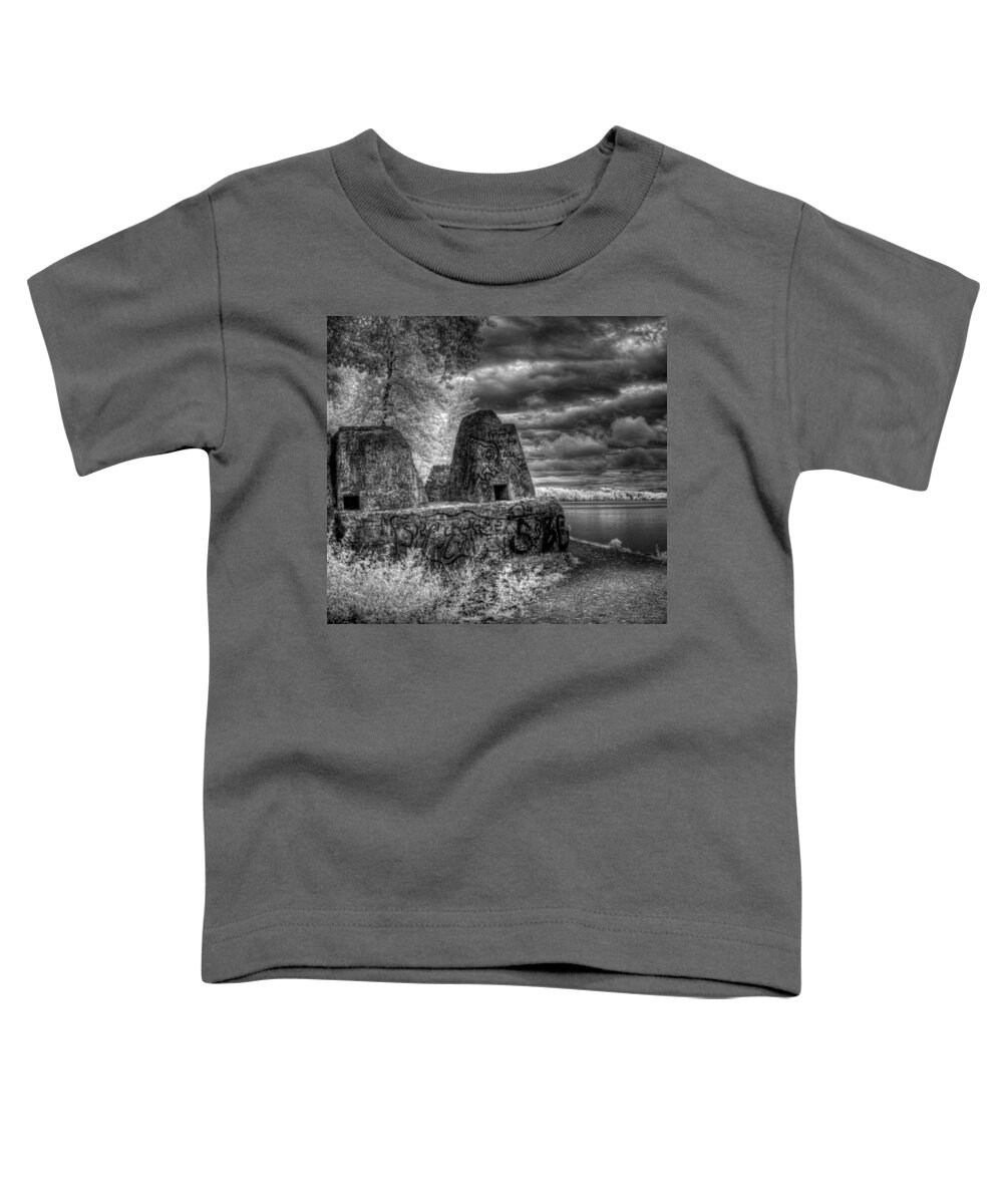 Landscape Toddler T-Shirt featuring the photograph Variation on a Theme 2 by Lee Santa