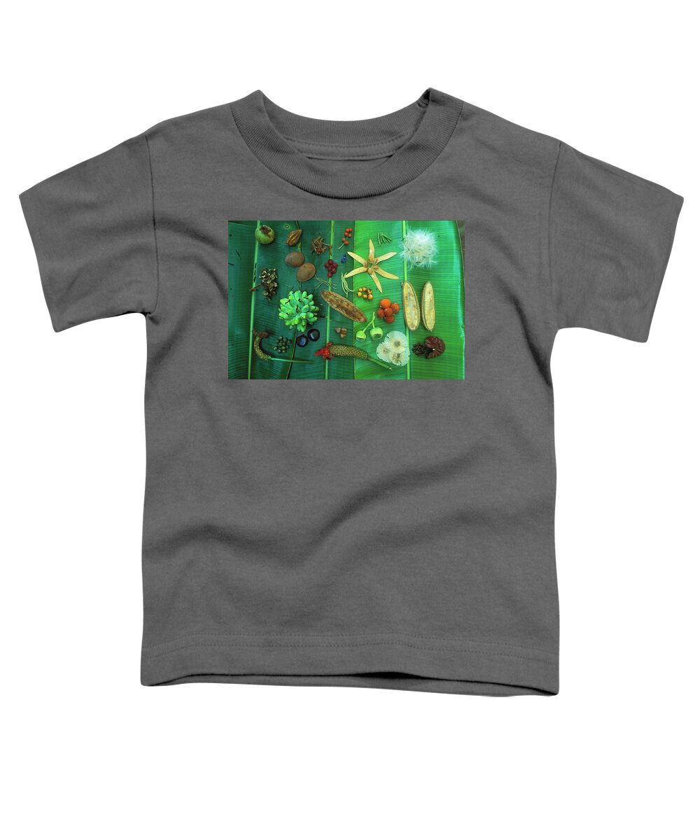 00760014 Toddler T-Shirt featuring the photograph Variety Of Seeds And Fruits by Christian Ziegler
