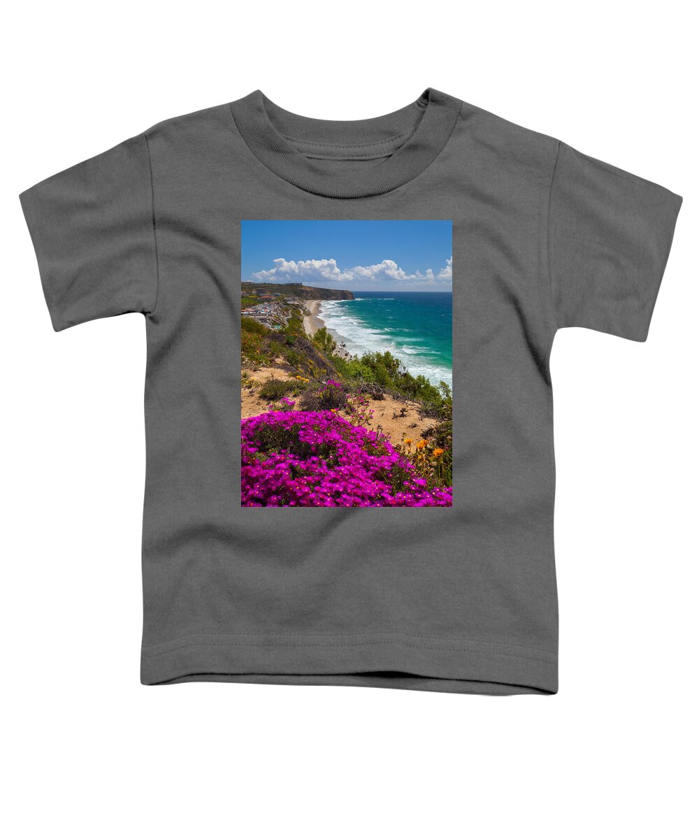 Dana Point Toddler T-Shirt featuring the photograph View of Strand Beach and Dana Point Headland by Cliff Wassmann