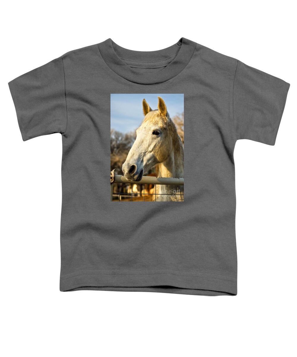 Horse Portrait Toddler T-Shirt featuring the photograph Watchin the Sun Set by Imagery by Charly