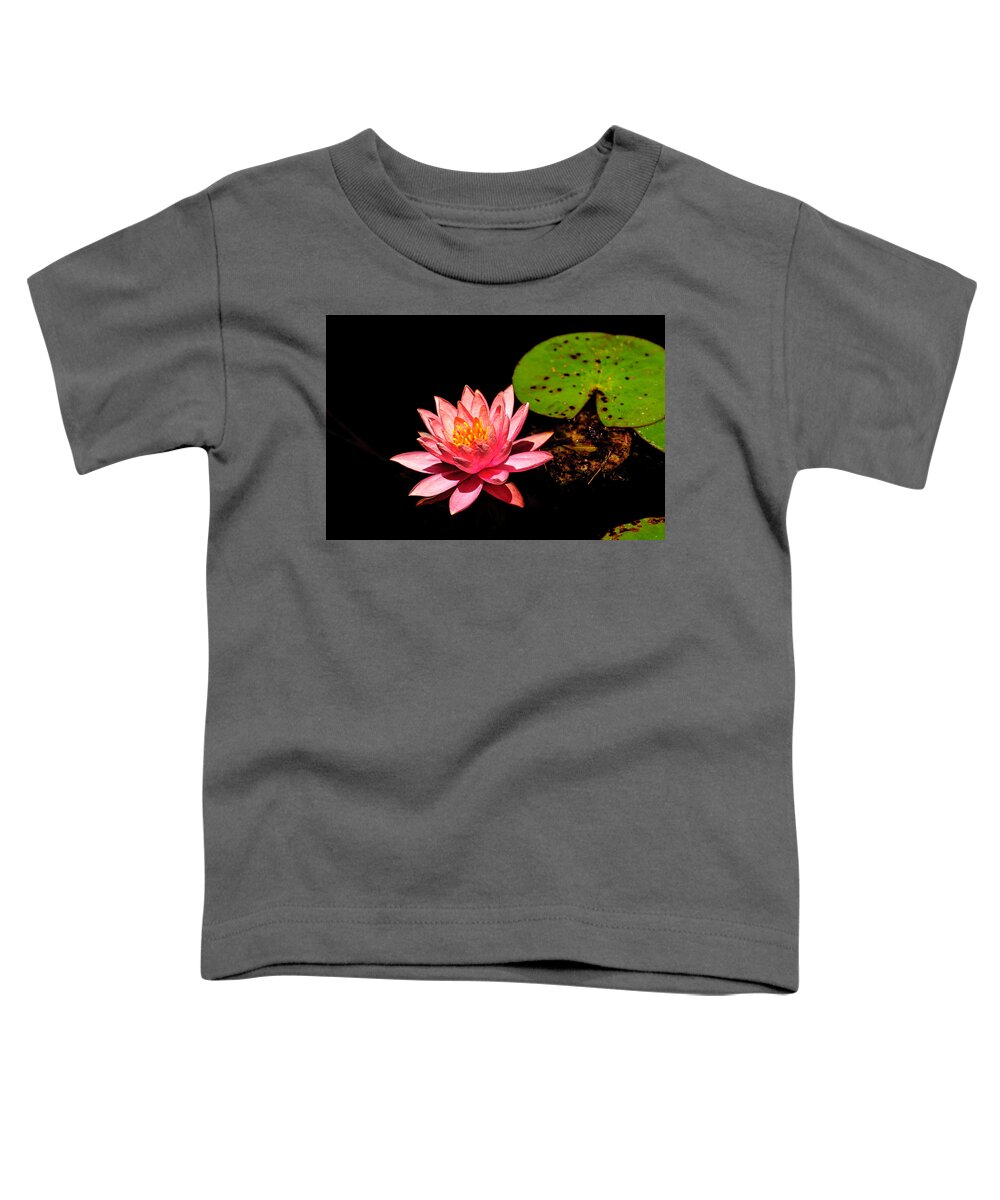 Water Lily Toddler T-Shirt featuring the photograph Water Lily by John Johnson