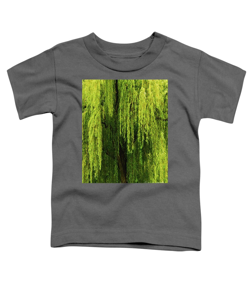 Weeping Willow Toddler T-Shirt featuring the photograph Weeping Willow Tree Enchantment by Carol F Austin