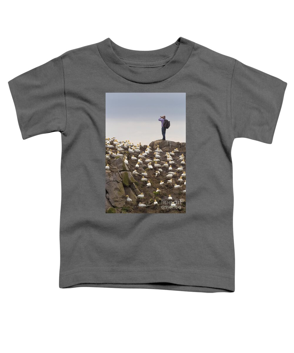 Adventure Toddler T-Shirt featuring the photograph Welcome Explorers by Evelina Kremsdorf