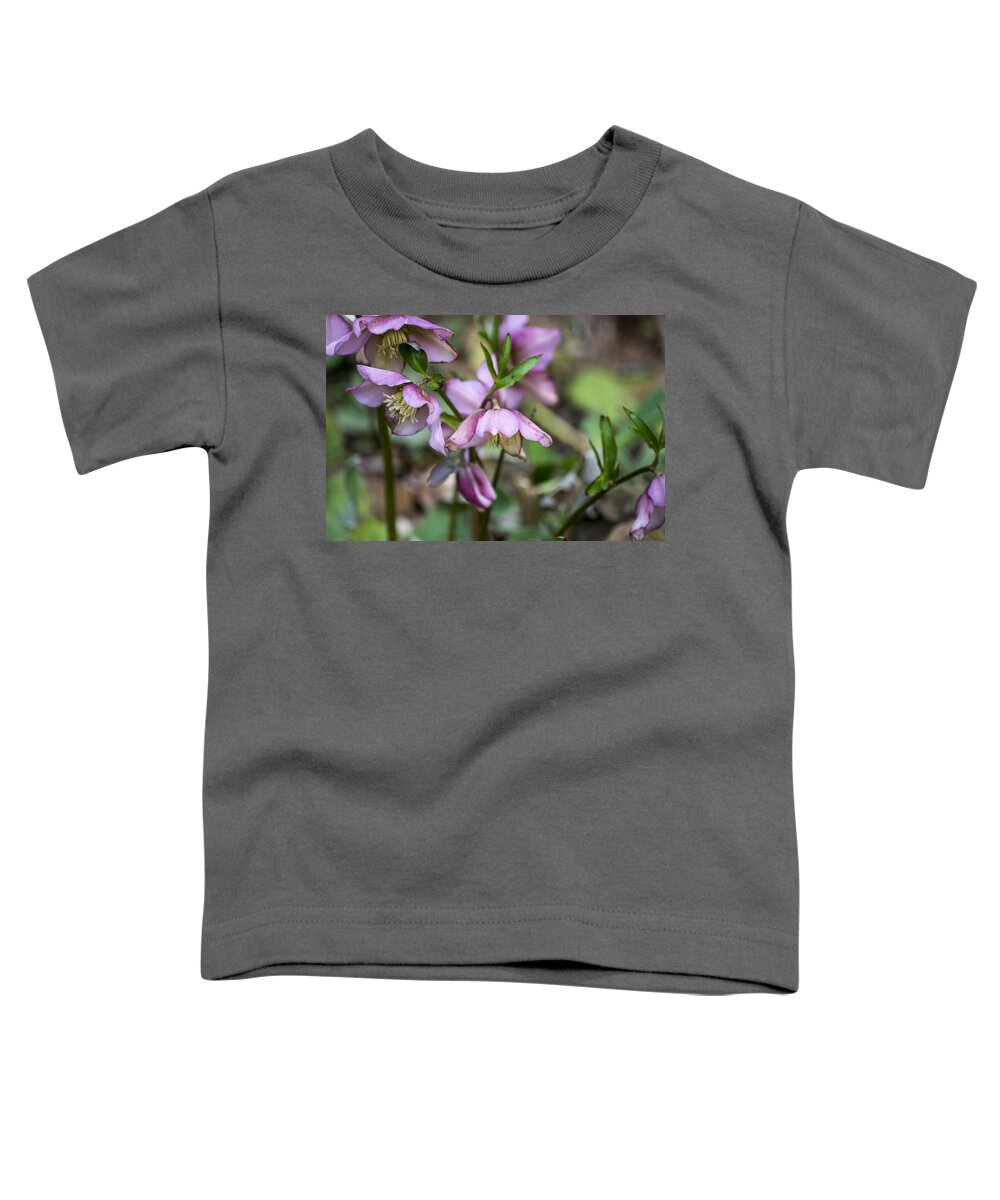 Pink Toddler T-Shirt featuring the photograph Welcome Spring Flowers by Spikey Mouse Photography