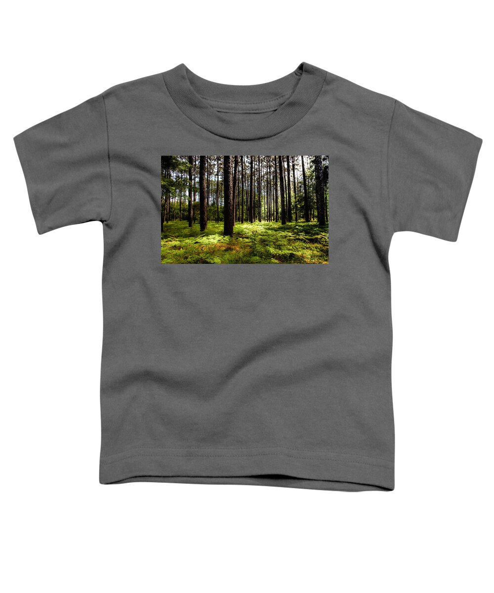 Forest Landscapes Toddler T-Shirt featuring the photograph WHEN the FOREST BECKONS by Karen Wiles
