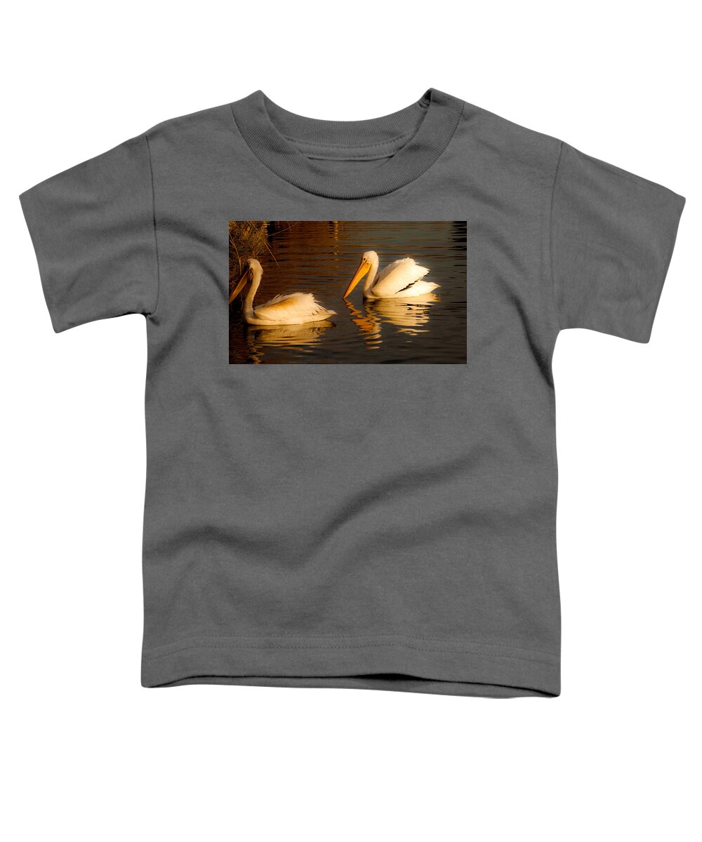 American White Pelican Bird Prints Toddler T-Shirt featuring the photograph White Feathered Pelican Bird Swimming on Lake At Sunrise Nature Fine Art Photography Print by Jerry Cowart