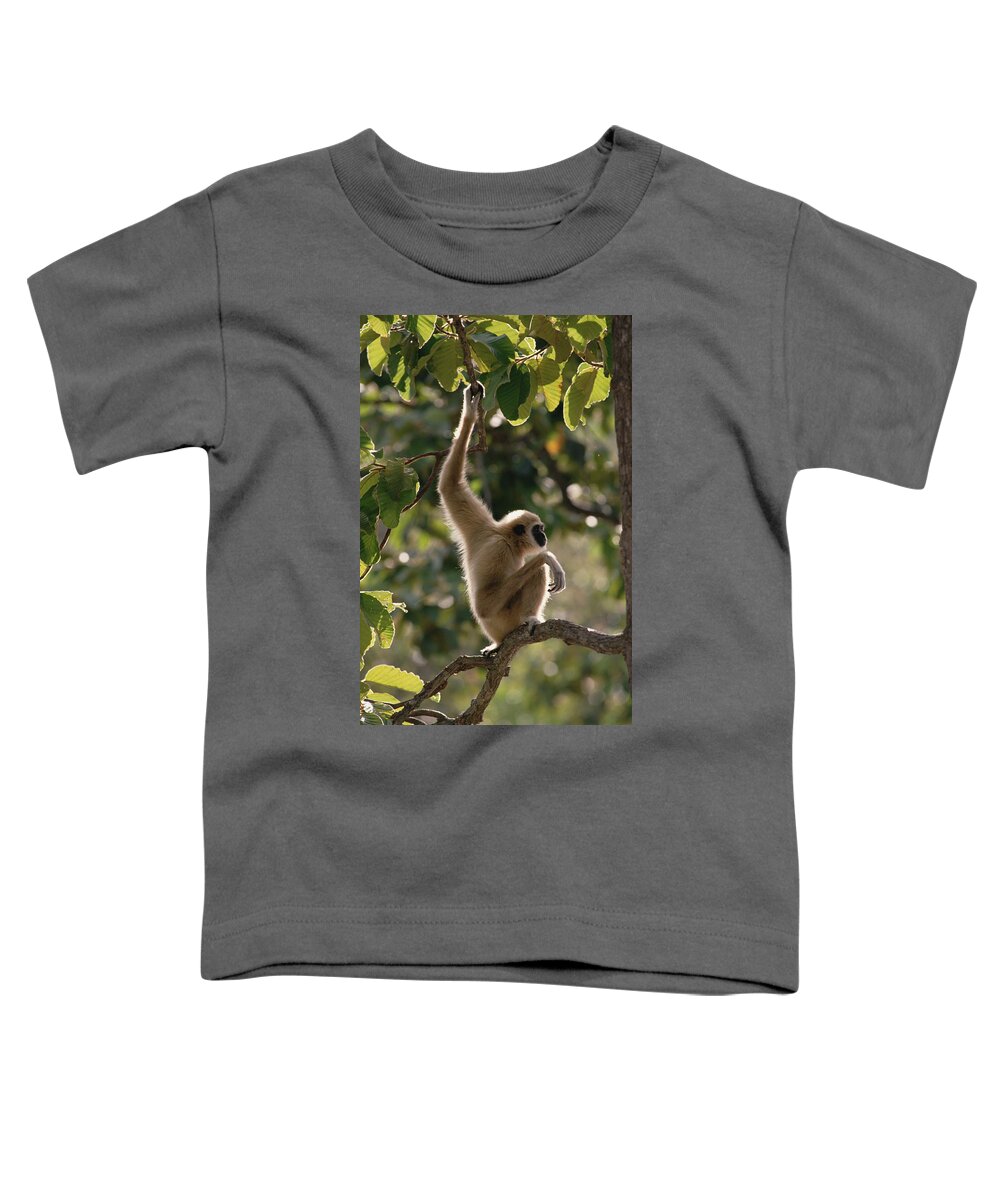 Feb0514 Toddler T-Shirt featuring the photograph White-handed Gibbon In Tree Thailand by Gerry Ellis