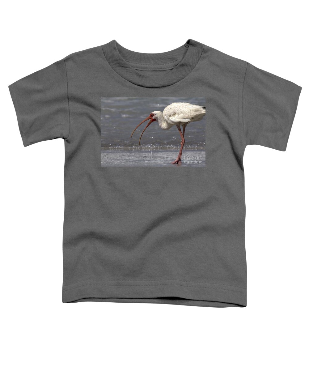 White Ibis Toddler T-Shirt featuring the photograph White Ibis on the Beach by Meg Rousher