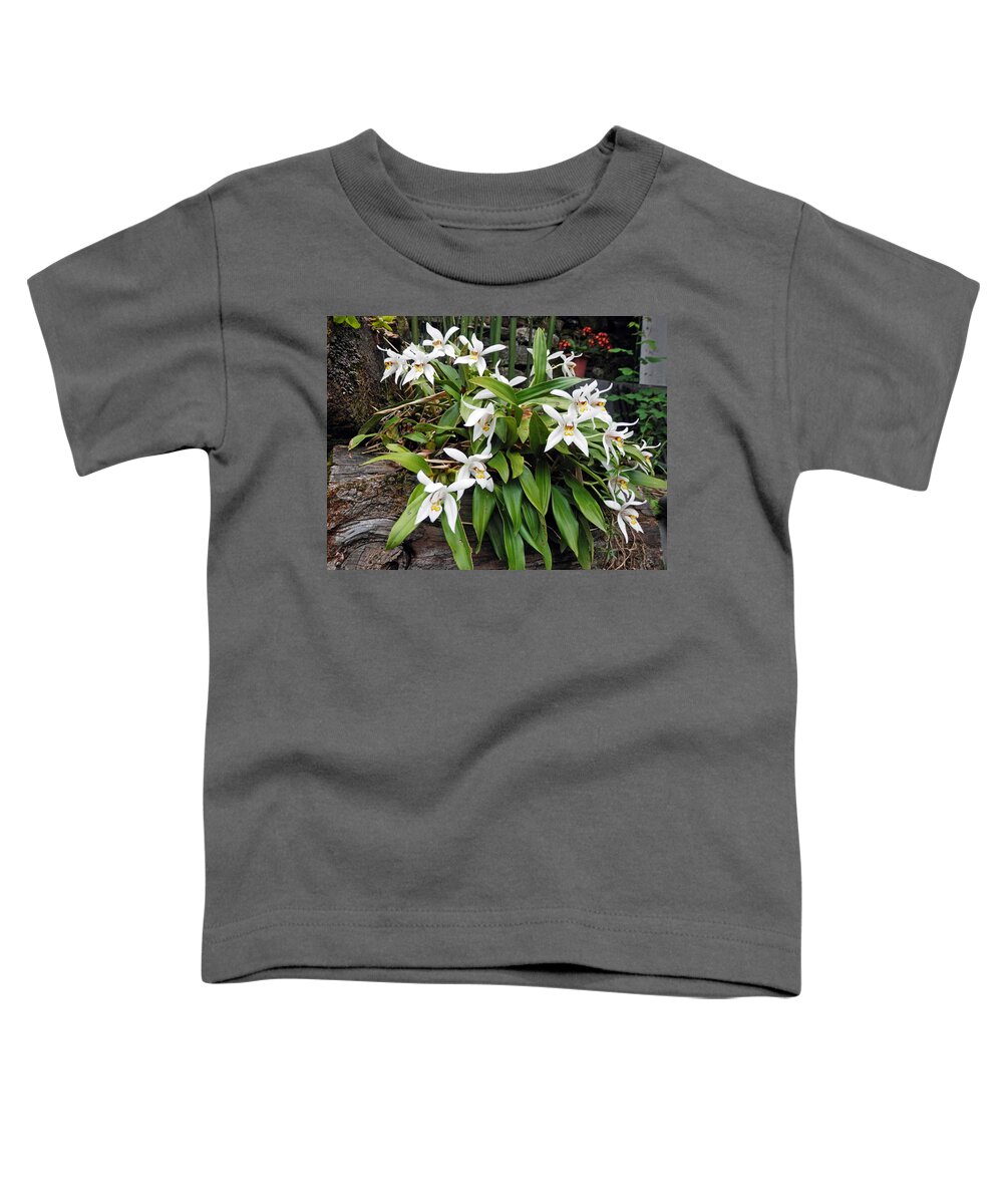 Orchid Toddler T-Shirt featuring the photograph White Orchids by Pema Hou