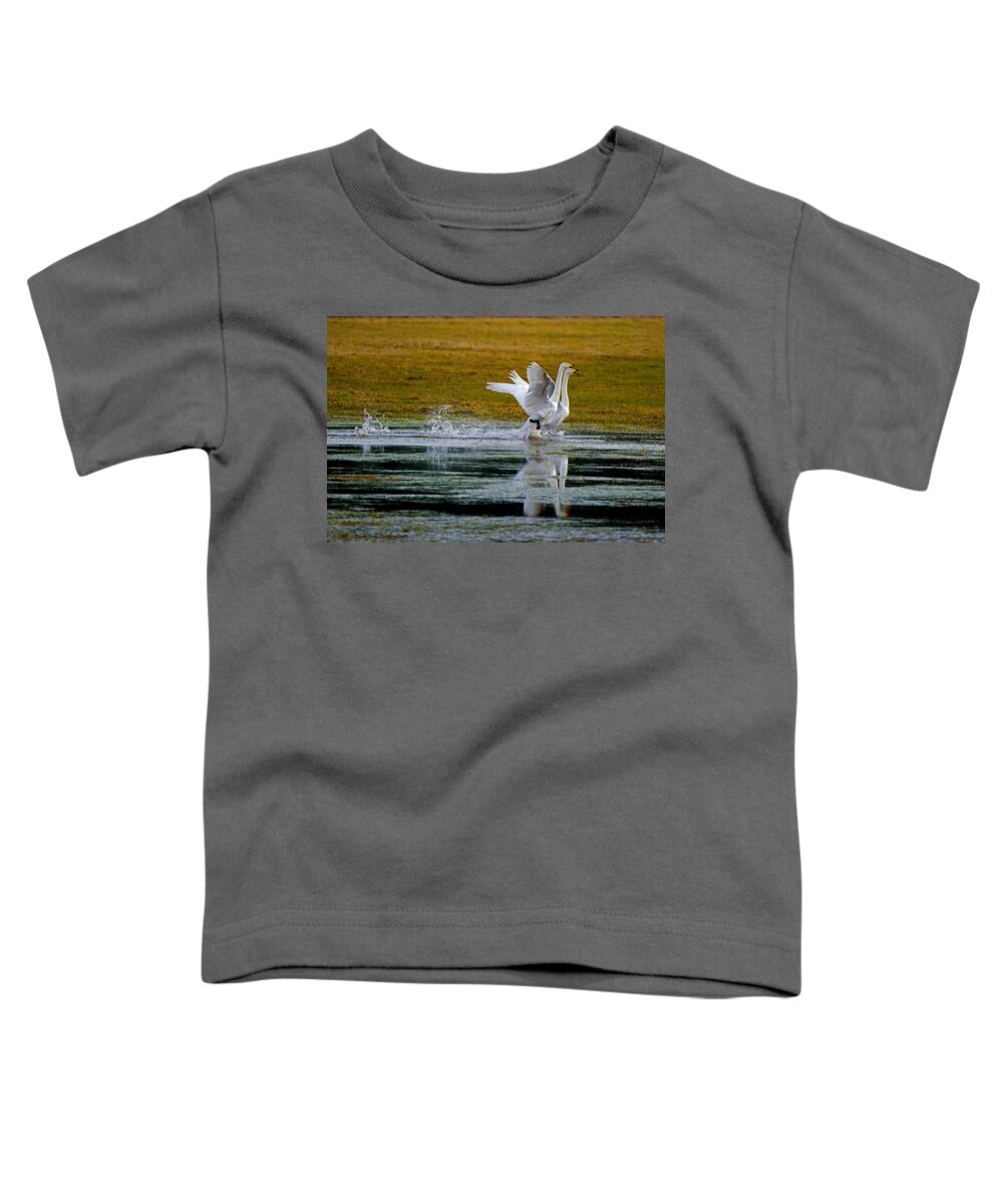Whooper Swans Toddler T-Shirt featuring the photograph Whooper Swans by Torbjorn Swenelius