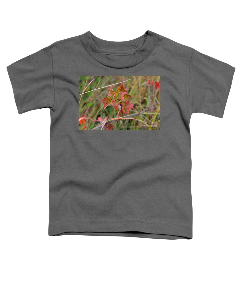 Fall Toddler T-Shirt featuring the photograph Wild Gooseberry Leaves by Ann E Robson