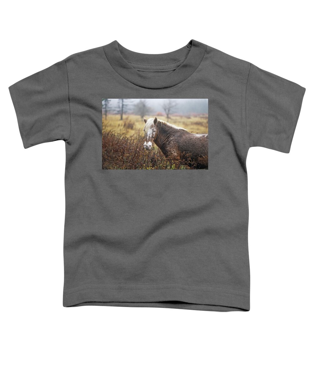 Animal Toddler T-Shirt featuring the photograph Wild Pony In Virginia by Frederica Georgia