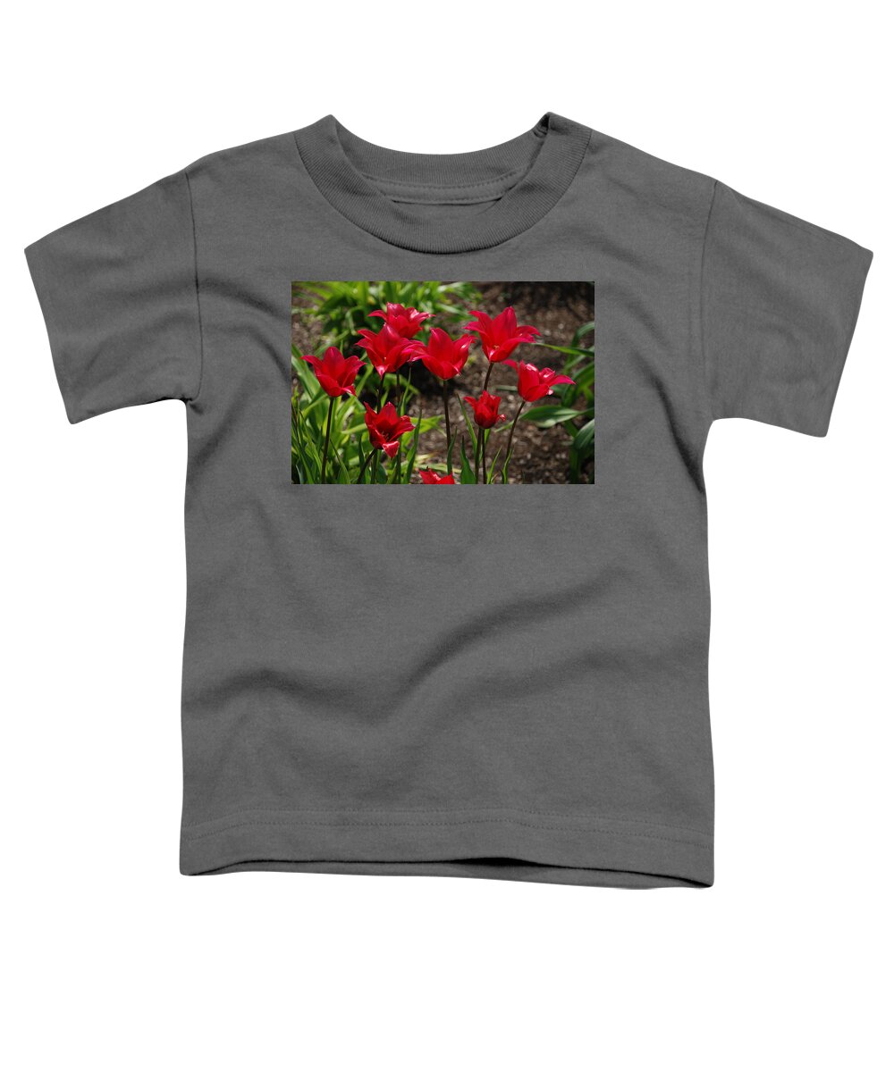 Red Toddler T-Shirt featuring the photograph Willa's Red by Kathy Paynter