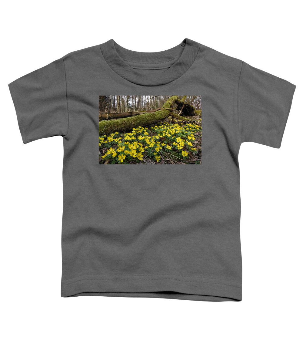 524915 Toddler T-Shirt featuring the photograph Winter Aconite Flowers Switzerland by Thomas Marent